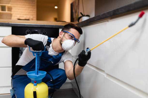 Best Ant Control Services  in Homerville, GA