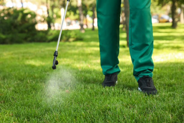 Best Rat Extermination Near Me  in Homerville, GA