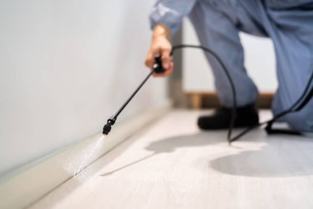 Best Commercial Pest Control Services  in Homerville, GA