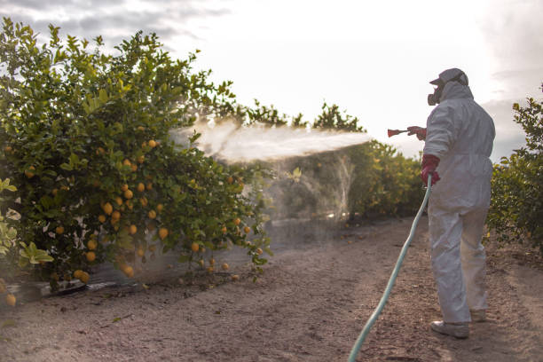  Homerville, GA Pest Control Pros