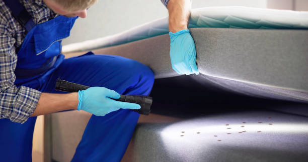 Best Bed Bug Extermination  in Homerville, GA