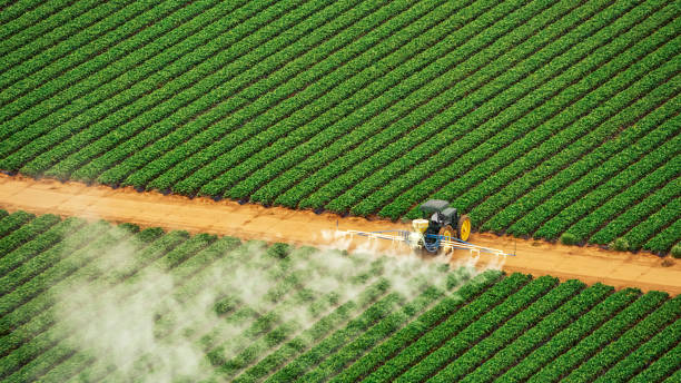 Best Pest Prevention Services  in Homerville, GA